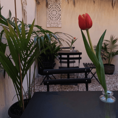 Un fiore posto su uno dei tavoli del cortile segreto di Venticinque