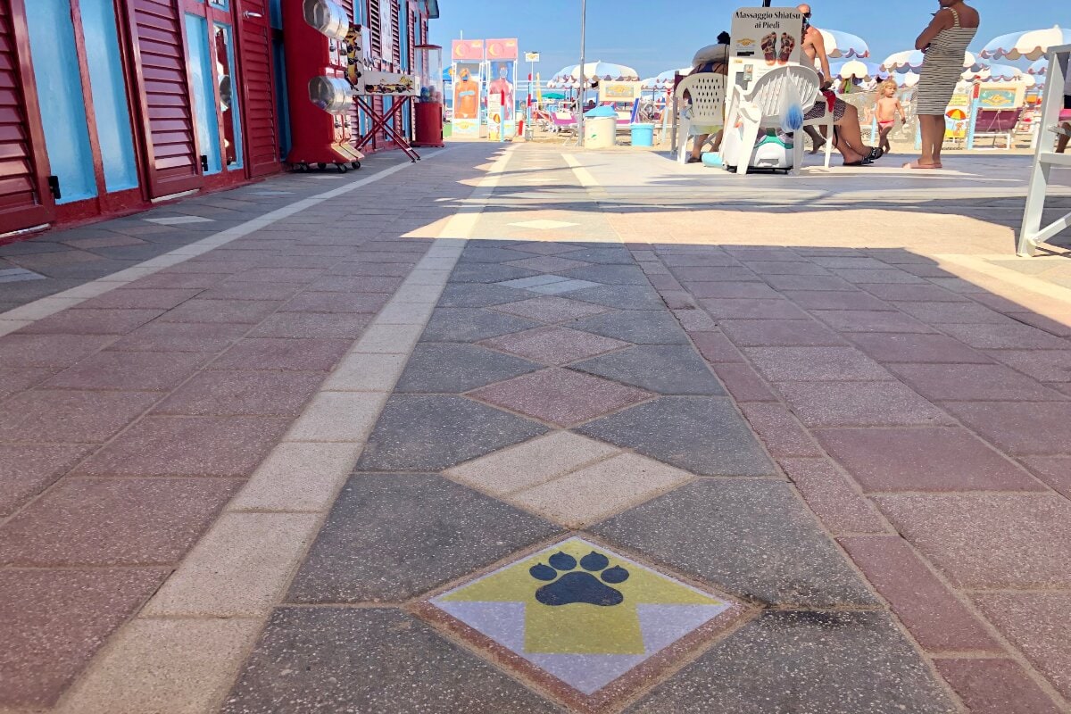 Riccione, città amica dei quattro zampe: vacanze nelle spiagge pet friendly