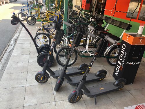 Risciò a noleggio con pedalata assistita per divertirsi senza fare fatica