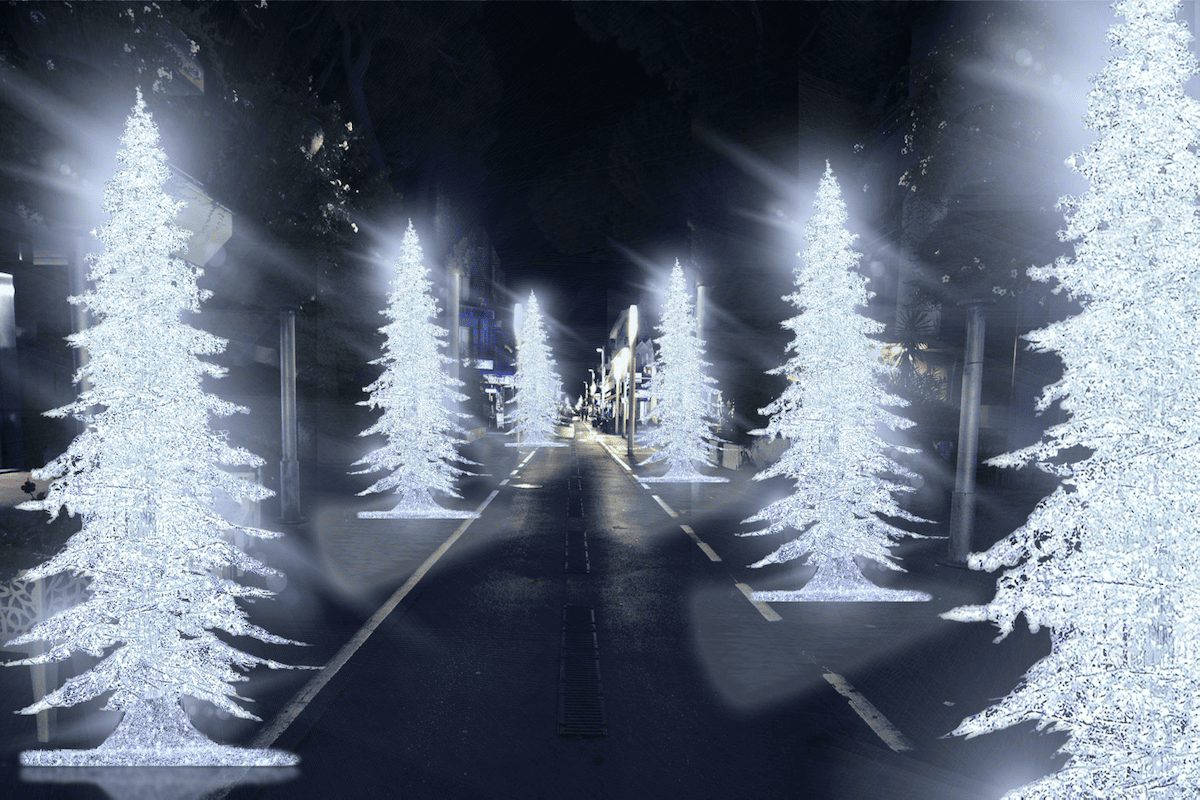 Riccione accende il Natale, alberi luminosi e tappeto dorato lungo viale Ceccarini