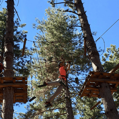 L'Adventure Park all'interno del bosco