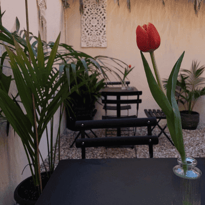 Uno scorcio del cortile segreto di Venticinque Riccione